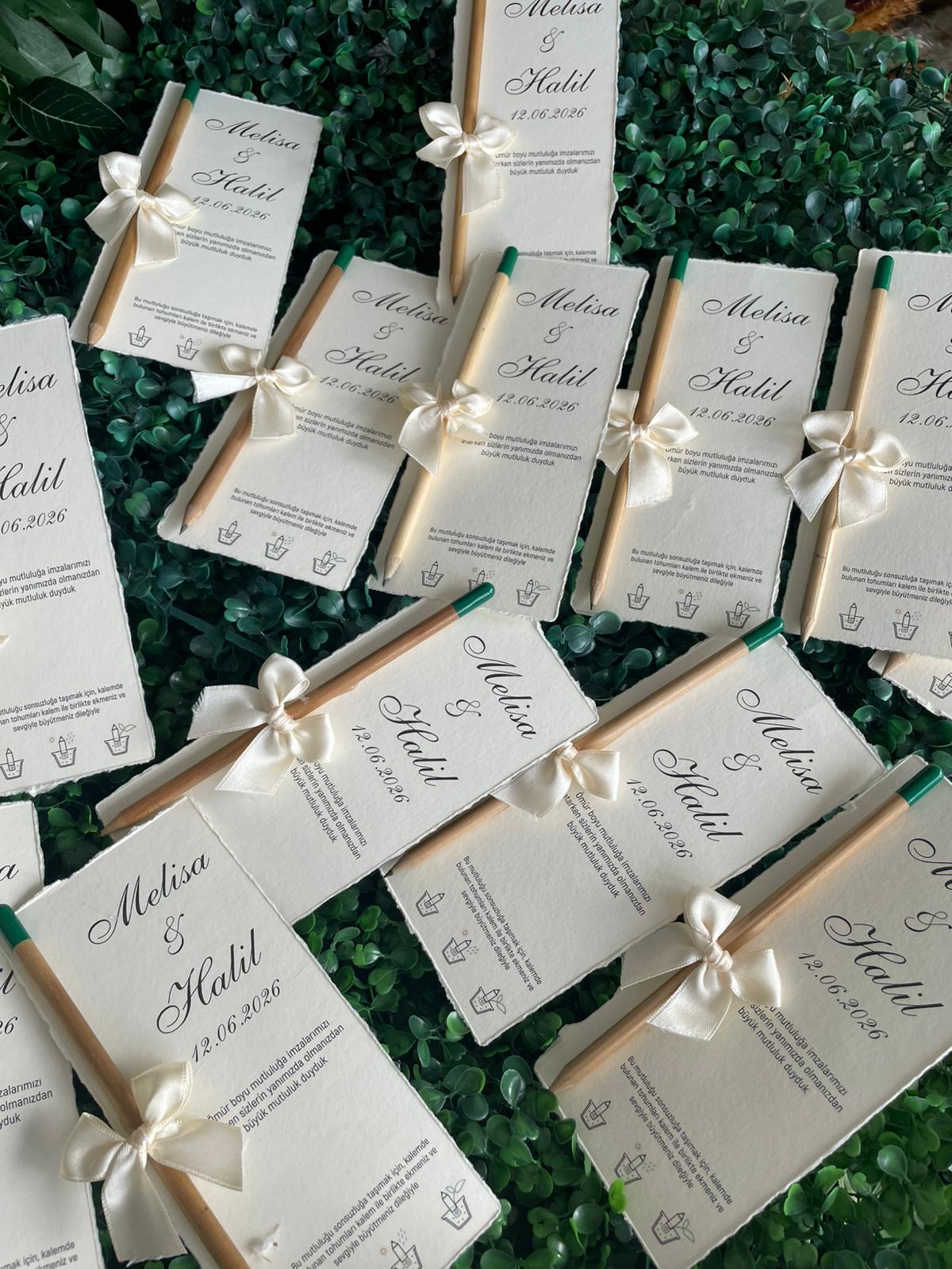 Hediyelik Tohum Kalem